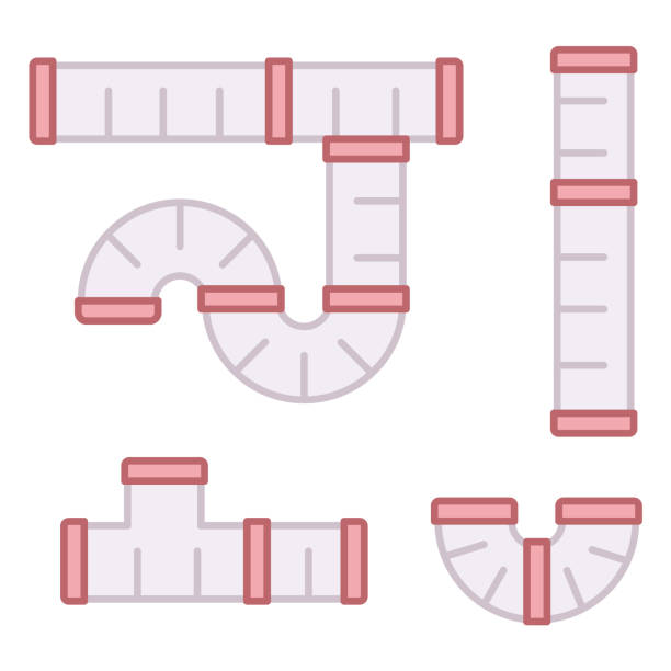 Plan 5